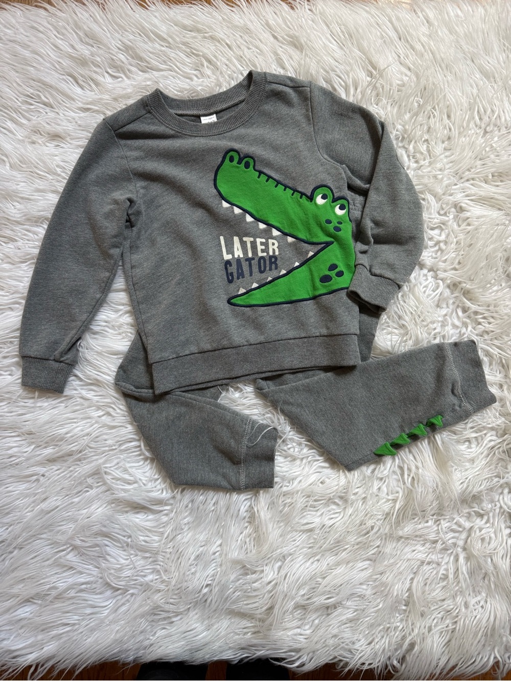 Carter's Grey Sweatshirt & Joggers with Green Gator Graphic